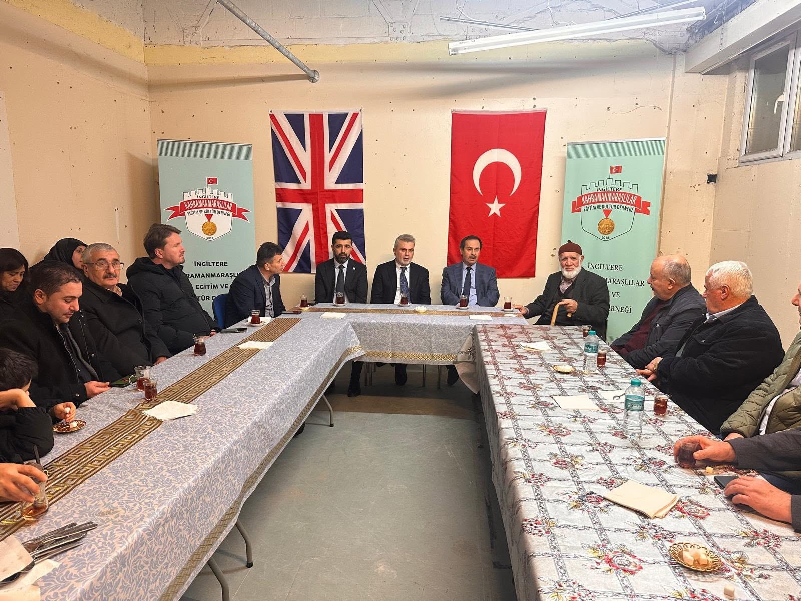 Lavender fields
